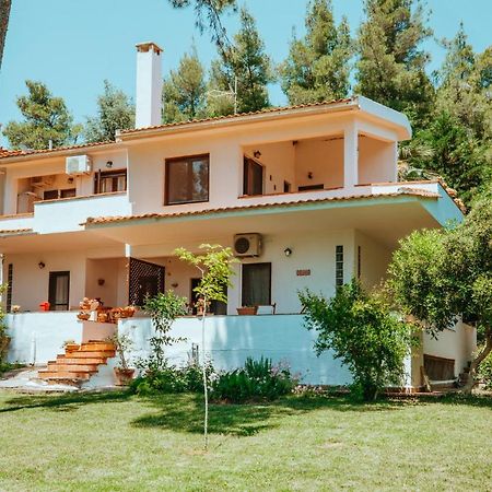 Forest House Near The Sea Сани-Бич Экстерьер фото